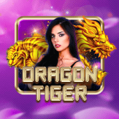 Dragon Tiger bingofun live casino