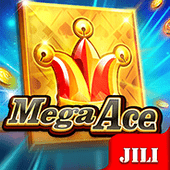 Mega Ace bingofun slot