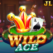 Wild Ace bingofun slot